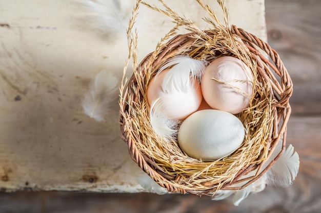 Oeufs sains et écologiques dans le panier