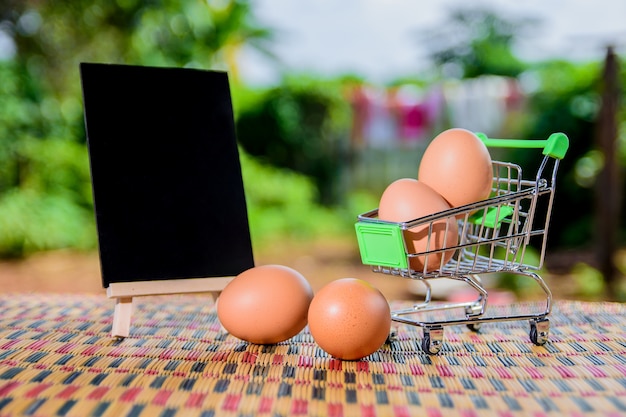 Les oeufs sont dans le panier