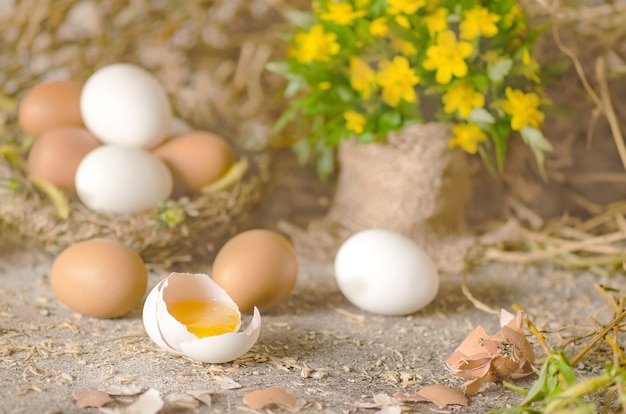 Oeufs sur une table en bois