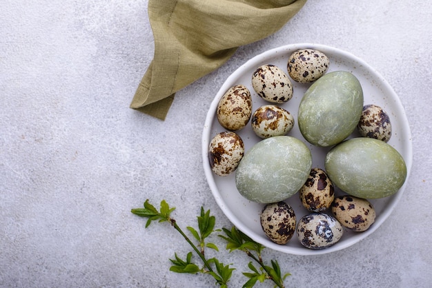 Oeufs verts peints de Pâques festifs