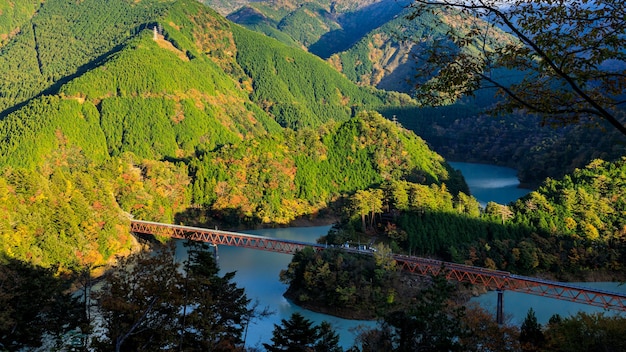 Oigawa Railway Ikawa Line Okuoikojo Station et Rainbow Bridge Paysage de la préfecture de Shizuoka au Japon vue paysage dans la saison des feuilles d'automne