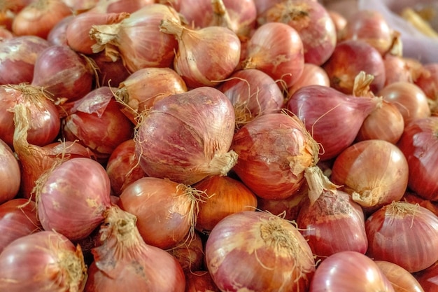 Oignon sur fond blanc Nourriture aux épices sur fond blanc