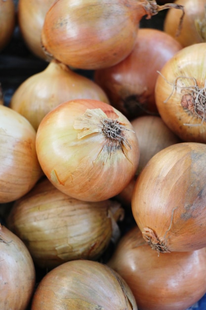 Photo oignon frais pour la cuisson sur le marché