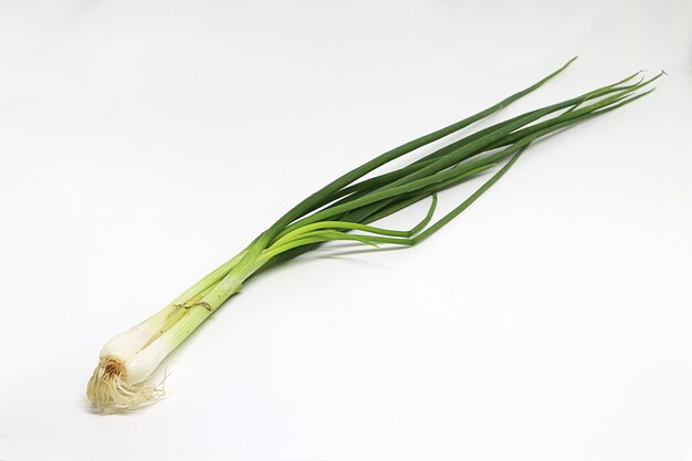 Oignon de printemps isolé sur fond blanc, gros plan oignons verts.