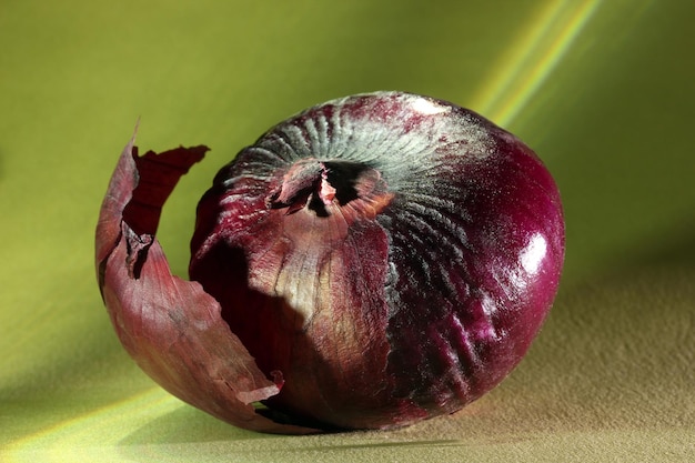 Oignon rouge sur fond coloré