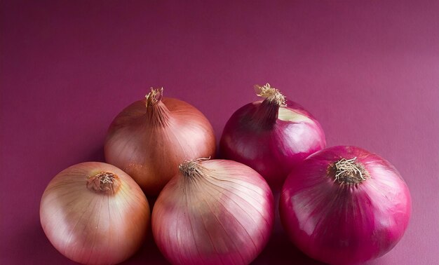 Oignon rouge sur fond magenta