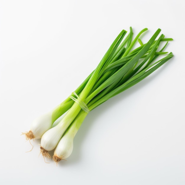 L'oignon vert ou l'ail chives chive chinoise isolée sur fond blanc.