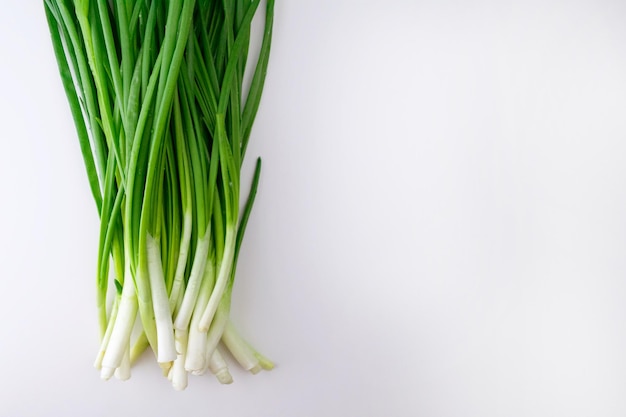 Oignon vert sur fond blanc