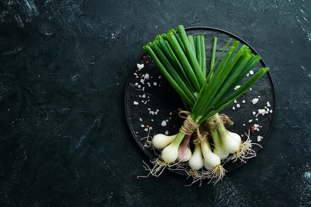 Oignon vert frais sur fond de pierre noire Légumes frais Vue de dessus Espace libre pour le texte