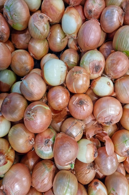 Oignons assemblant plusieurs effets sur fond texturé