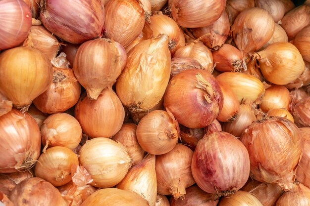 Oignons au marché de producteurs dans la ville de Madère Funchal Portugal