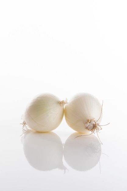 Oignons blancs sur une surface réfléchissante