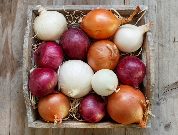 Oignons crus dans un panier sur une table en bois