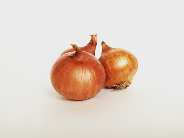 Oignons sur fond blanc