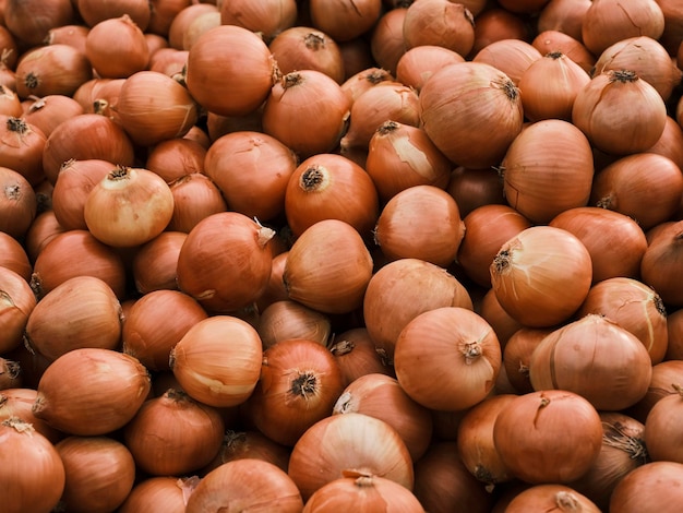 Oignons frais sur le marché