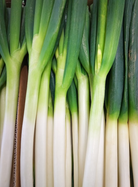 Photo les oignons frais sont des oignons verts en bonne santé.