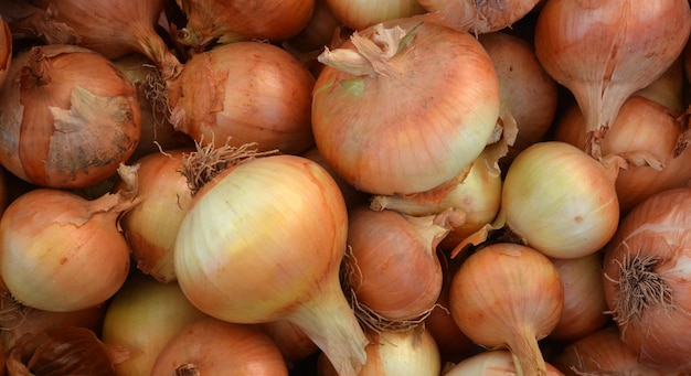 oignons sur un marché à vendre