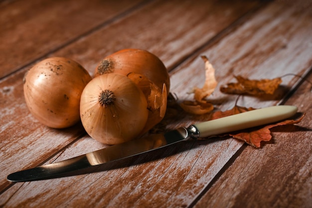 Les oignons de la nouvelle récolte se trouvent sur la table