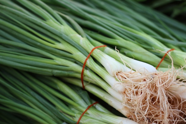 Oignons de printemps au marché