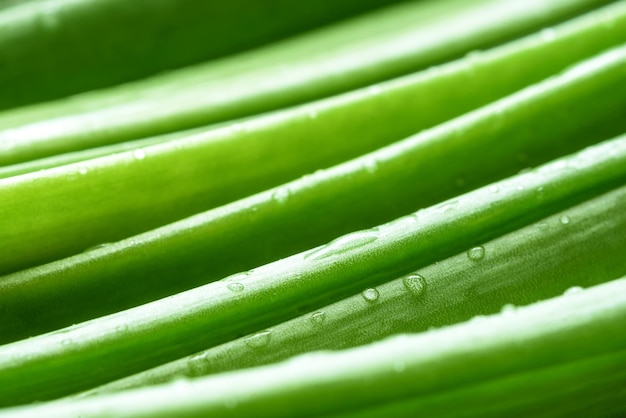 Oignons verts sur un fond en bois épices