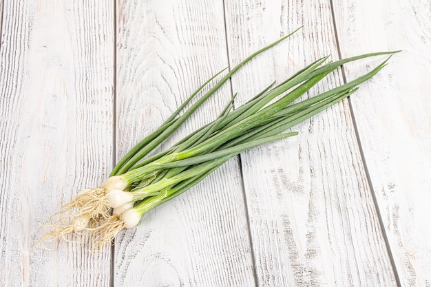 Oignons verts frais à arôme jeune