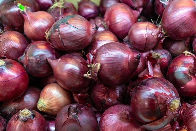 Oignons violets au comptoir d'un supermarché.