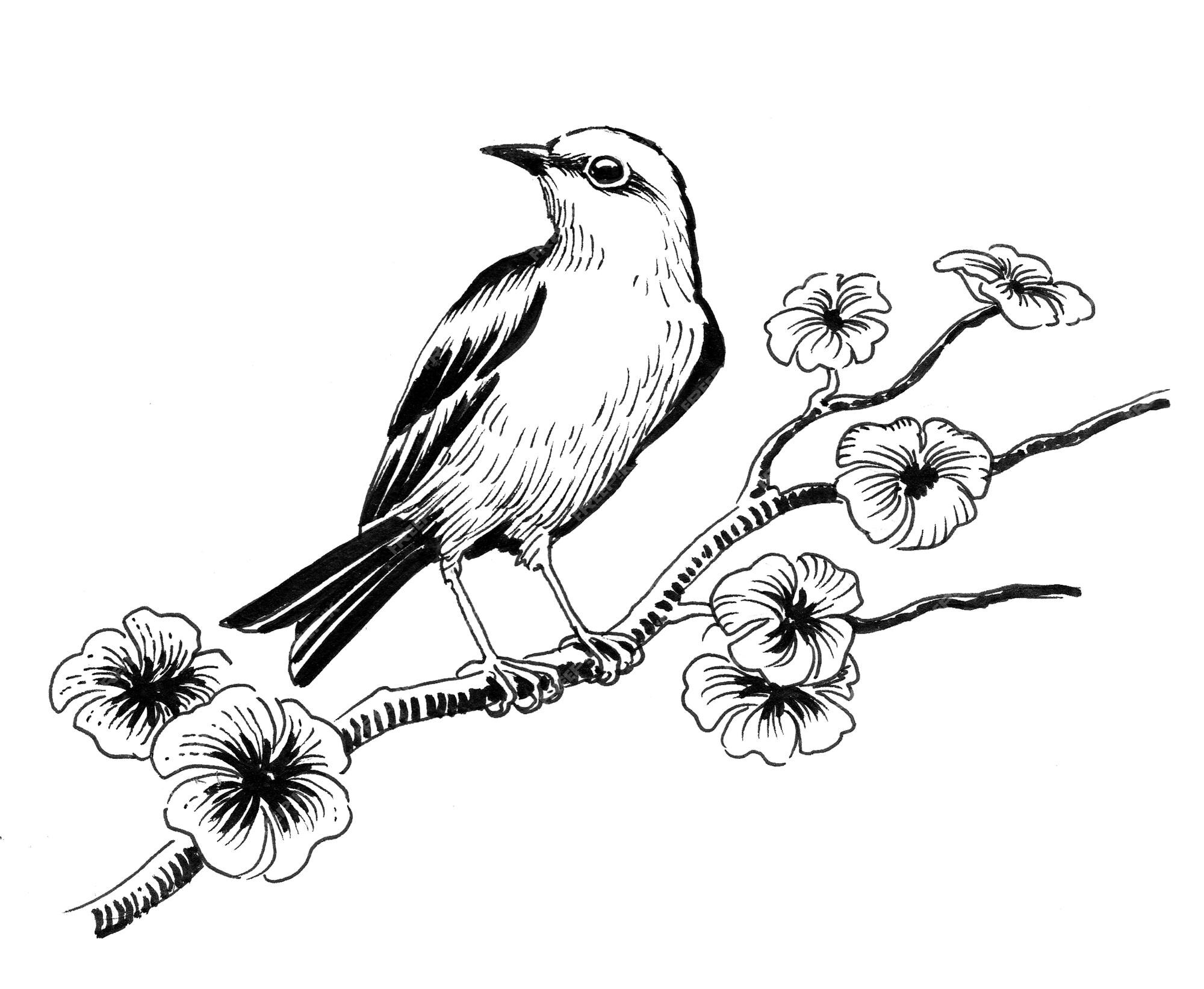 Encrer le futur (PV - Ren) Oiseau-arbre-fleurs-dessin-noir-blanc-encre_725369-3343