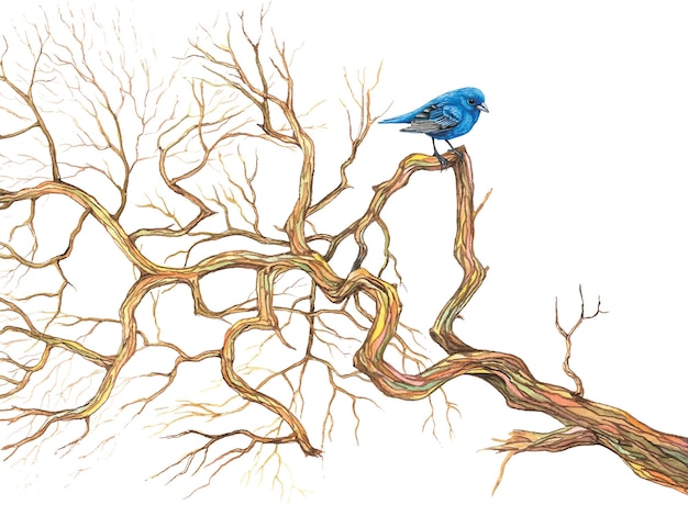 Oiseau assis sur une illustration aquarelle de branche