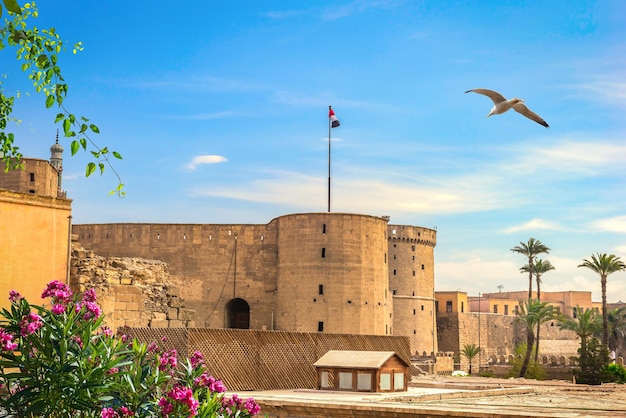 Oiseau au-dessus de l'ancienne citadelle au Caire, Egypte