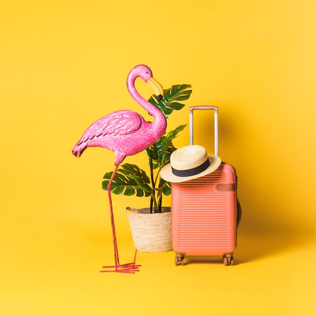 Photo oiseau décoratif, plante en pot et valise