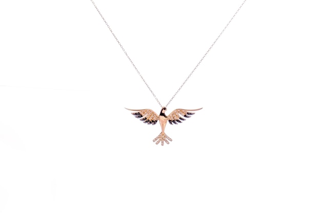 un oiseau est sur un collier avec un collier qui dit oiseau