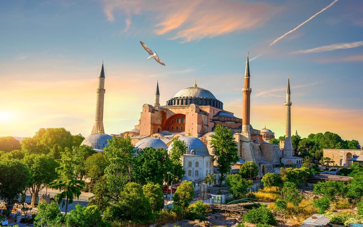 Oiseau à Istanbul