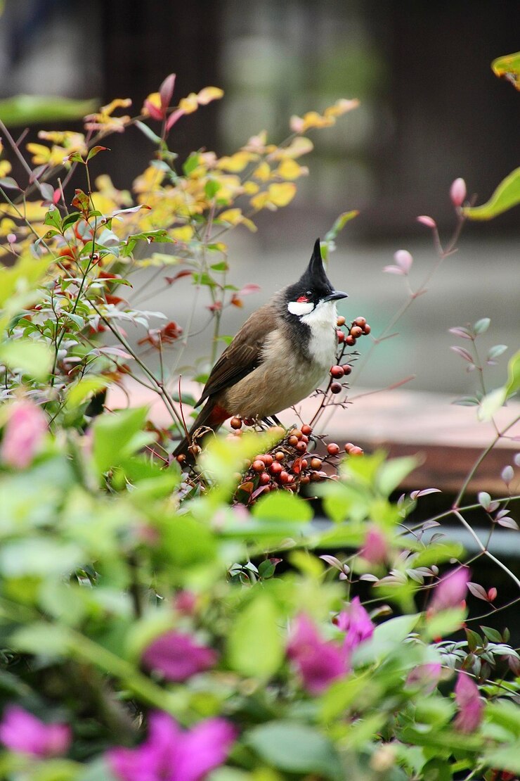 Photo un oiseau perché sur une plante
