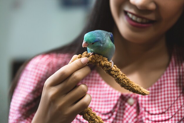 Oiseau perroquet Forpus sur main de femme