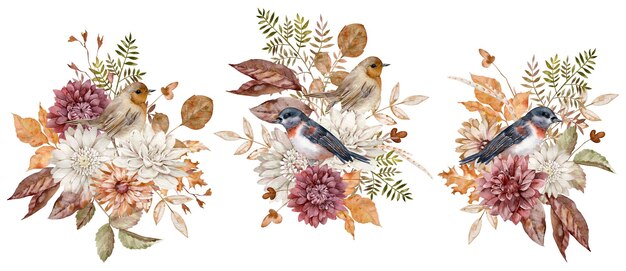 Oiseaux d'automne à l'aquarelle avec des fleurs de jardin - asters et chrysanthèmes et feuilles d'automne bordeaux, blancs et en terre cuite. Bouquets d'automne.