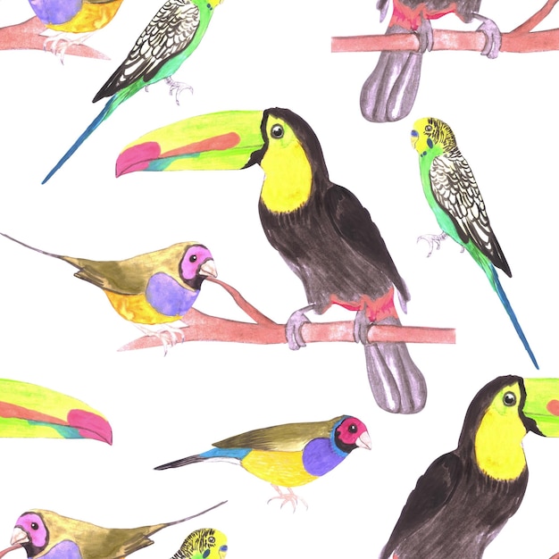 Des oiseaux colorés perchés sur une branche à l'arrière-plan sans couture à l'aquarelle