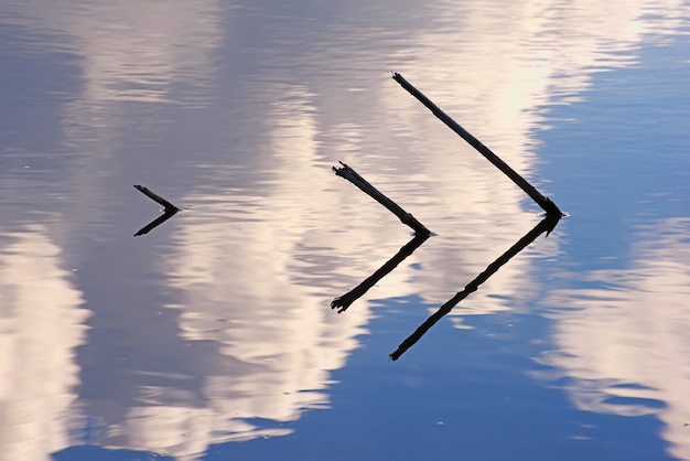 Photo des oiseaux dans le lac contre le ciel