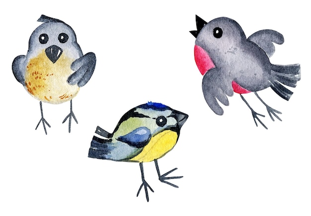 Oiseaux d'hiver aquarelle bouvreuils seins moineau croquis dessinés à la main illustration de Noël