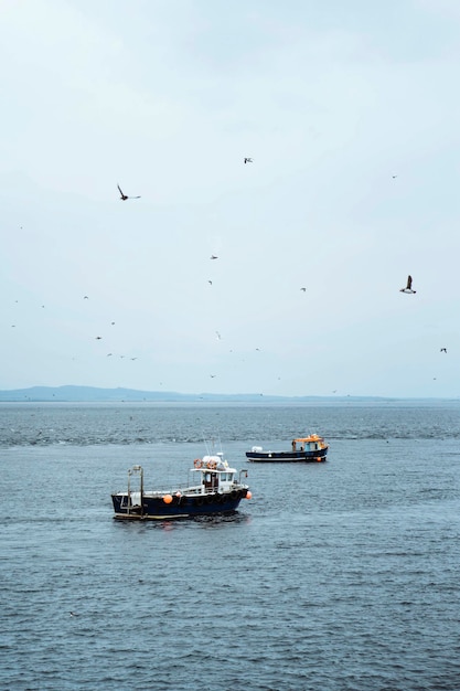 Oiseaux de mer survolant les bateaux de pêche en mer