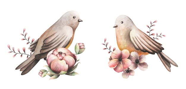 Oiseaux peints avec des fleurs Dessin d'oiseaux et de fleurs roses sur fond blanc