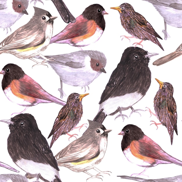 Oiseaux sauvages à l'arrière-plan sans couture aquarelle moyen