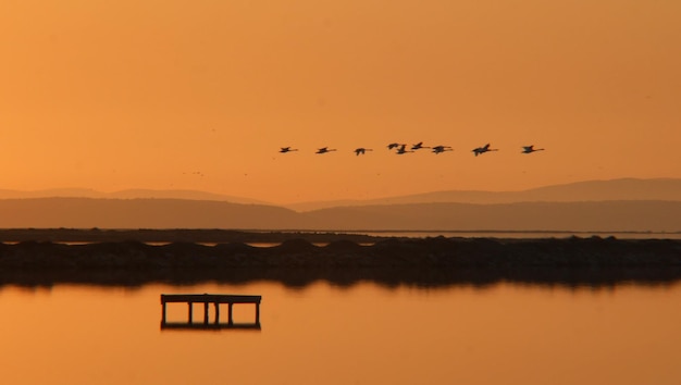 Des oiseaux volant au-dessus du lac contre un ciel orange au coucher du soleil