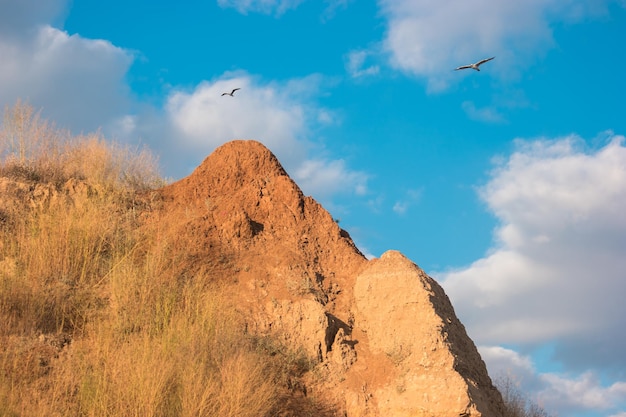 Les oiseaux volent près de la roche de montagne et le ciel bleu nuageux ressentent la liberté de migration des mouettes