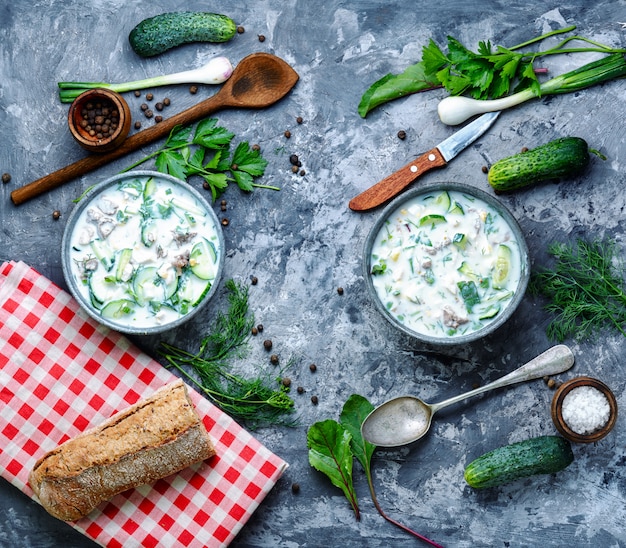 Okroshka, soupe froide d'été