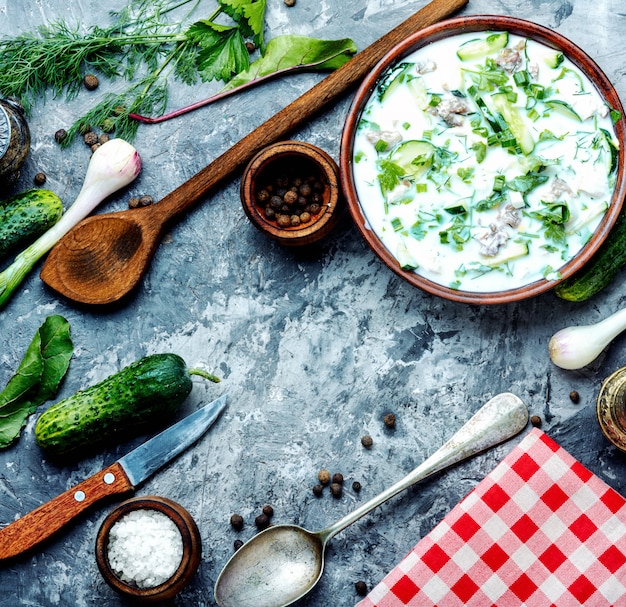 Okroshka, soupe froide d'été