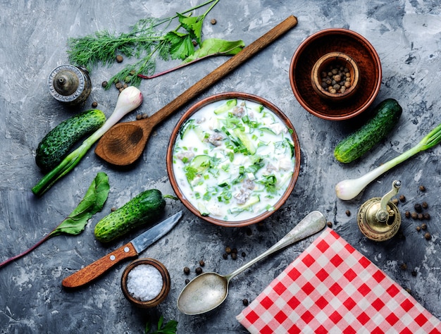 Okroshka, soupe froide d'été