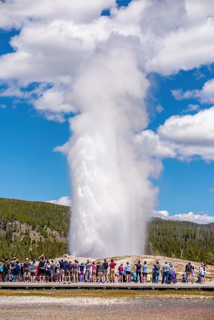 Old Faithful Geyser dans le Parc National de Yellowstone USA