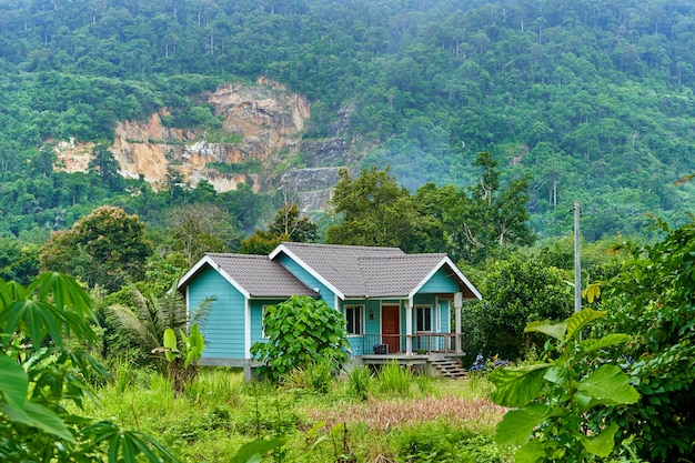 Old sweet home dans la jungle. Campagne dans la jungle tropicale serrée.