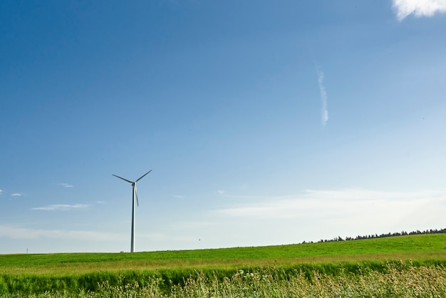 Éolienne sur le terrain en été