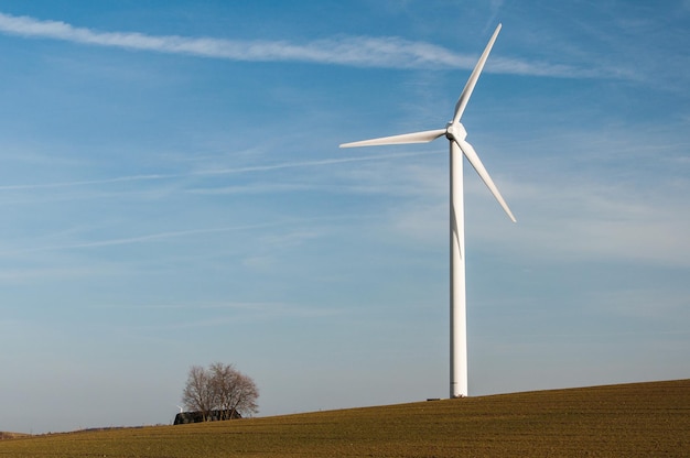 Éolienne unique isolée dans un champ agricole avec un arbre sous un ciel bleu